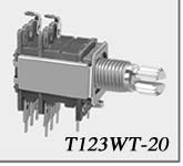 תʽλT123WT-20